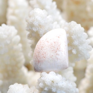 Scolecite orange 10 carats - cabochon pierre naturelle - Inde / FC63