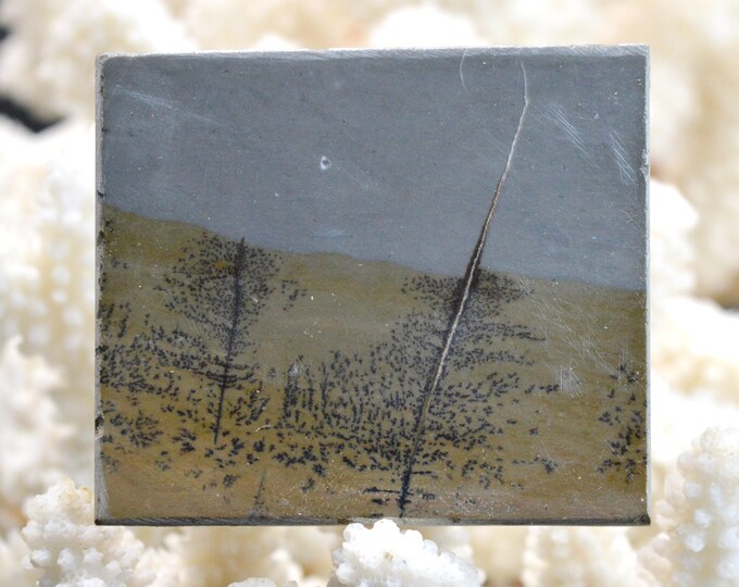 Polished Slice - Landscape Stone 62 mm - Guilin, Guangxi, China