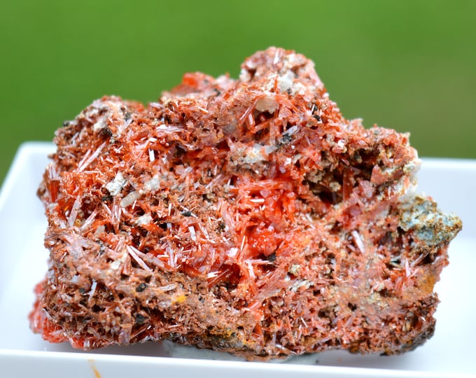 Crocoite 43 grams - Dundas mineral field, Zeehan District, West Coast municipality, Tasmania, Australia