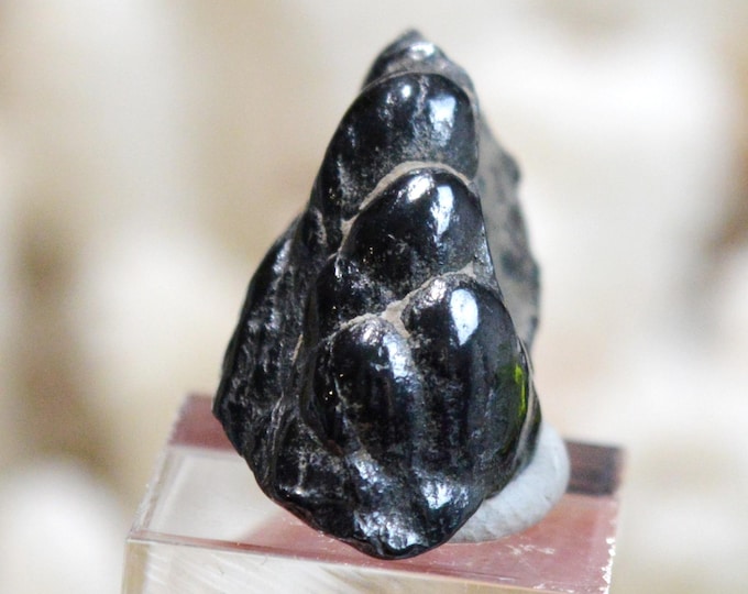 Psilomelane 5 grams - Eisenzecher Zug mine, Eiserfeld, Siegen, Siegen-Wittgenstein, Arnsberg, North Rhine-Westphalia, Germany