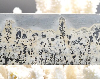 Polished slice - Landscape stone 174 mm - Guilin, Guangxi, China