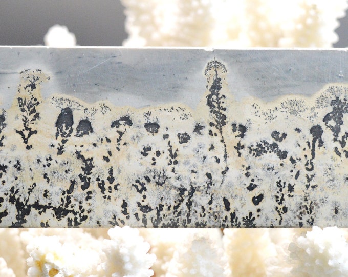 Polished Slice - Landscape Stone 174 mm - Guilin, Guangxi, China