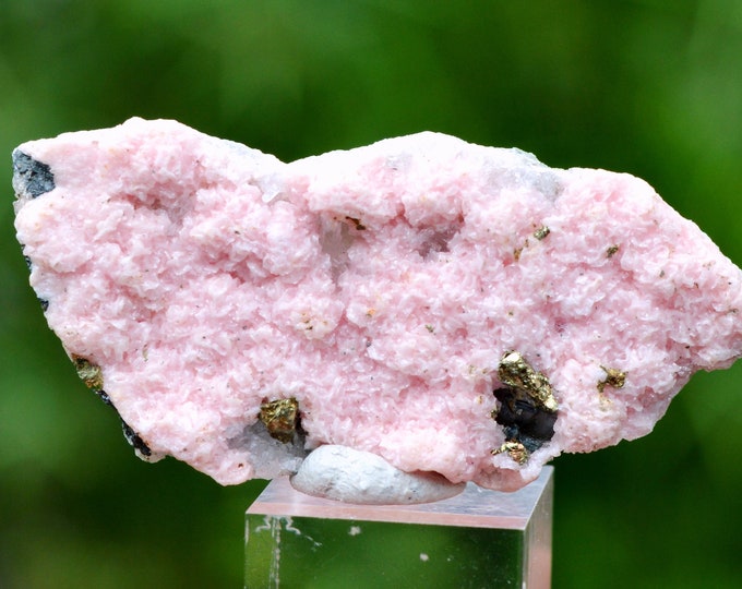 Rhodochrosite & Quartz 15 grams - Starnitsa deposit, Davidkovo ore field, Davidkovo, Banite Municipality, Smolyan Province, Bulgaria