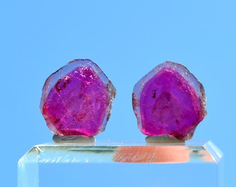 22 carat "Watermelon" Tourmaline - Polished Slice Natural Stone - Pederneira Mine, São José da Safira, Minas Gerais, Brazil