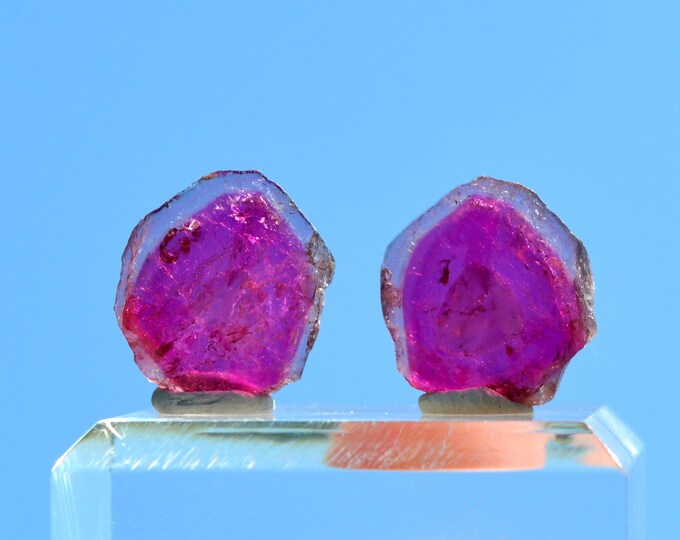 Tourmaline "Watermelon" 22 carats - Polished slice natural stone - Pederneira mine, São José da Safira, Minas Gerais, Brazil