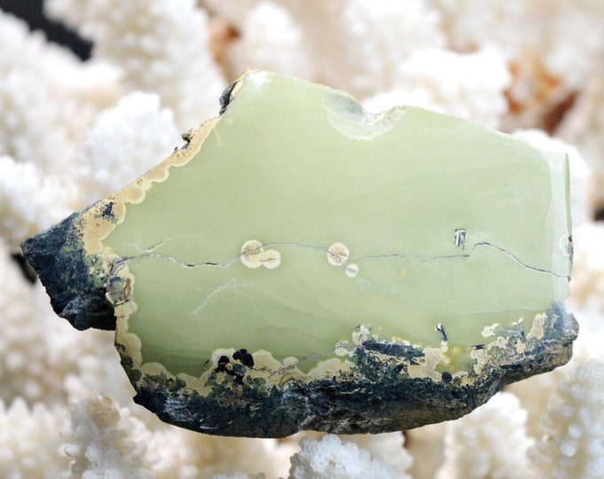 Slice - Noble Serpentine 67 grams - Susa Valley, Metropolitan City of Turin, Piedmont, Italy