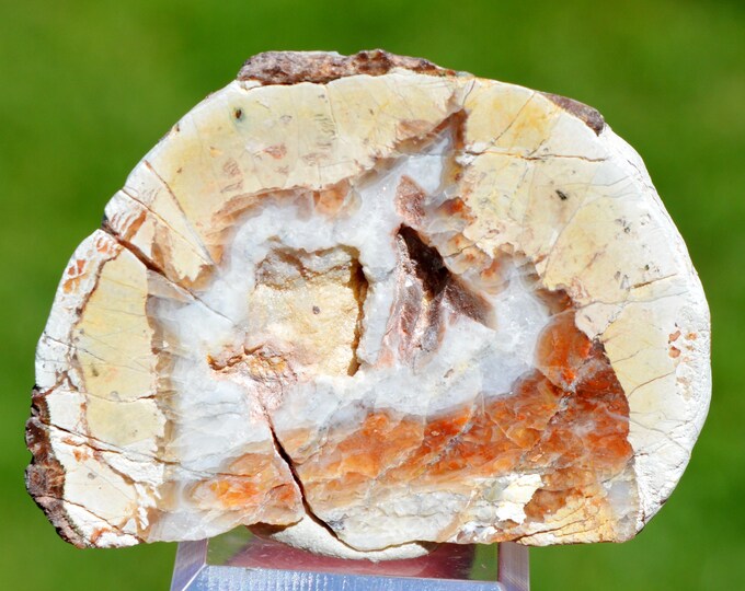 Chalcedony var. agate & Quartz "Lithophyse" 58 grams - Esterel Massif, Var, France