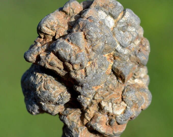 Marcasite and/or Pyrite 47 grams - Cap Blanc-Nez, Escalles, Calais, Pas-de-Calais, Hauts-de-France, France