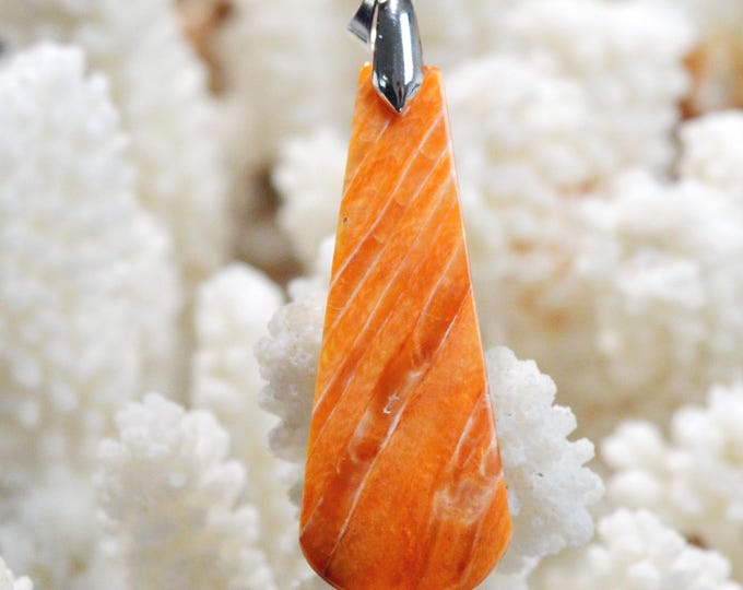 Spiny Oyster - Spondylus - 31 carats - natural shell cabochon pendant - Mexico / FR45