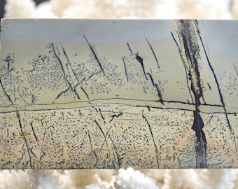 Polished slice - Landscape stone 97 mm - Guilin, Guangxi, China