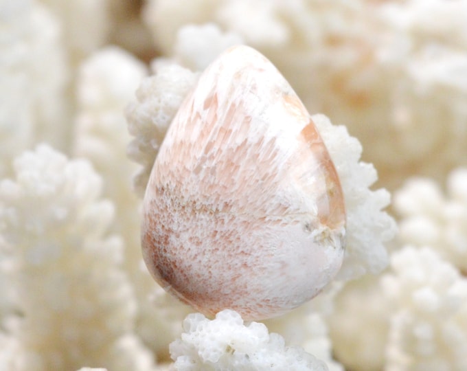20 carat orange scolecite - natural stone cabochon - India / FC55