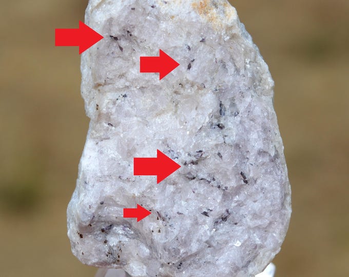 Ellenbergerite 108 grams - Case Parigi, Martiniana Po, Cuneo Province, Piedmont, Italy