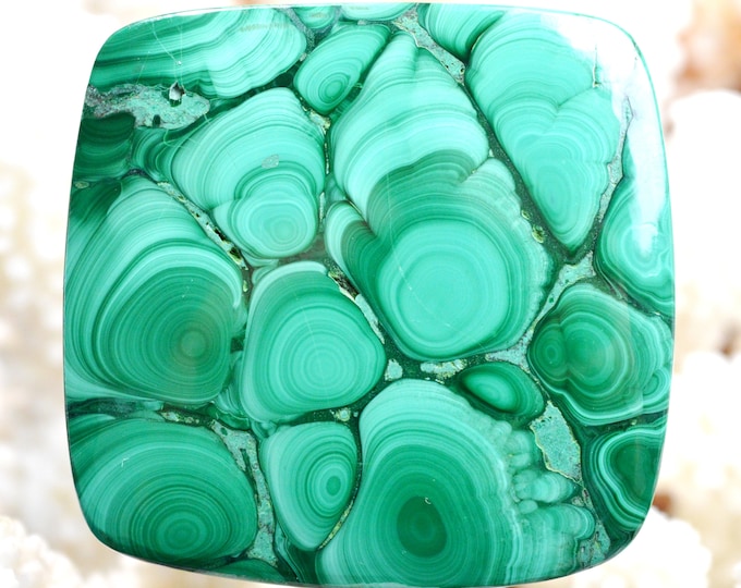 Malachite 262 carats - natural stone cabochon - Congo // Ref Y94