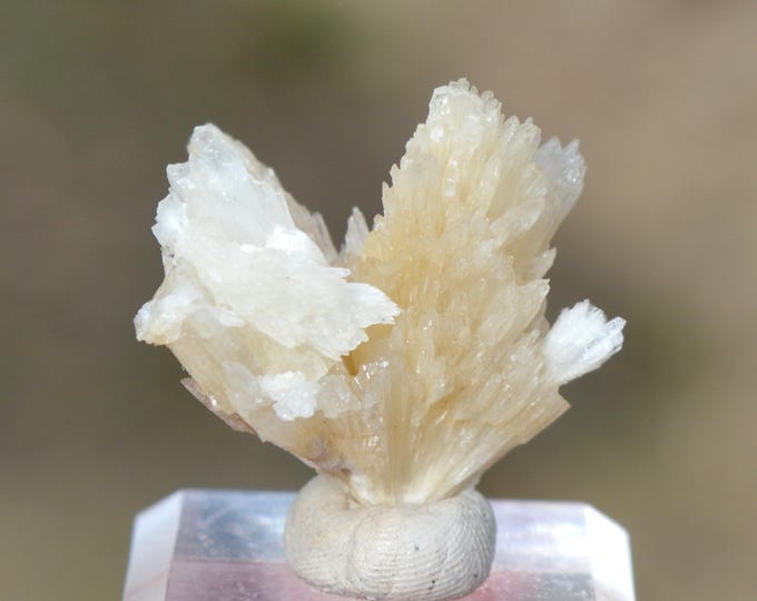 Aragonite 8 grams - Profunda Mine, Cármenes, León, Castile and Leon, Spain