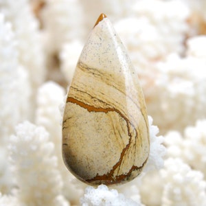 Jaspe Paysage 56 carats - cabochon pierre naturelle - Namibie / EQ16