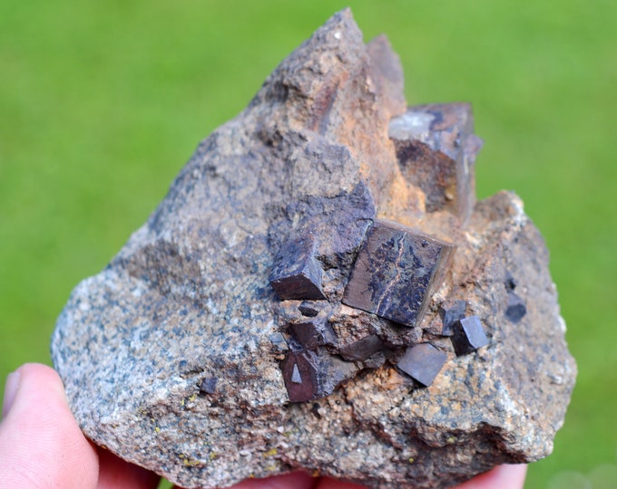 Pyrite 371 grams - Alpe du Grand Serre, La Morte, Grenoble, Isère, Auvergne-Rhône-Alpes, France