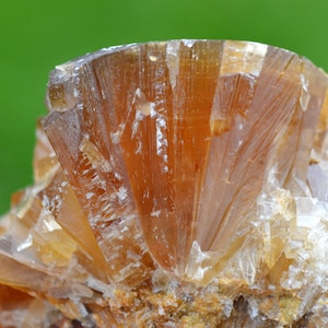 May include: Close-up of a mineral specimen with a layered, fan-like structure. The mineral displays shades of amber and brown, with a crystalline appearance. The background is a soft green, highlighting the natural colors and textures.