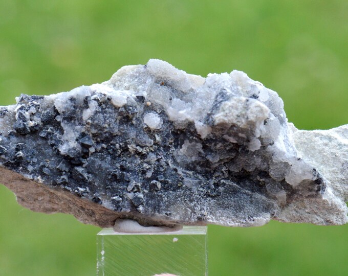 Galena & Chalcedony 45 grams - Le Buisson Mine, Montmirat, Saint-Étienne-du-Valdonnez, Mende, Lozère, Occitanie, France