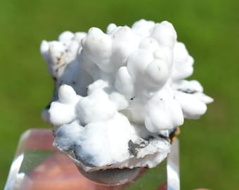 Aragonite &quot;Flos Ferri&quot; 53 grams - Green Fir Mine, Altenberg, Ste Marie-aux-Mines, Colmar-Ribeauvillé, Haut-Rhin, Alsace, France