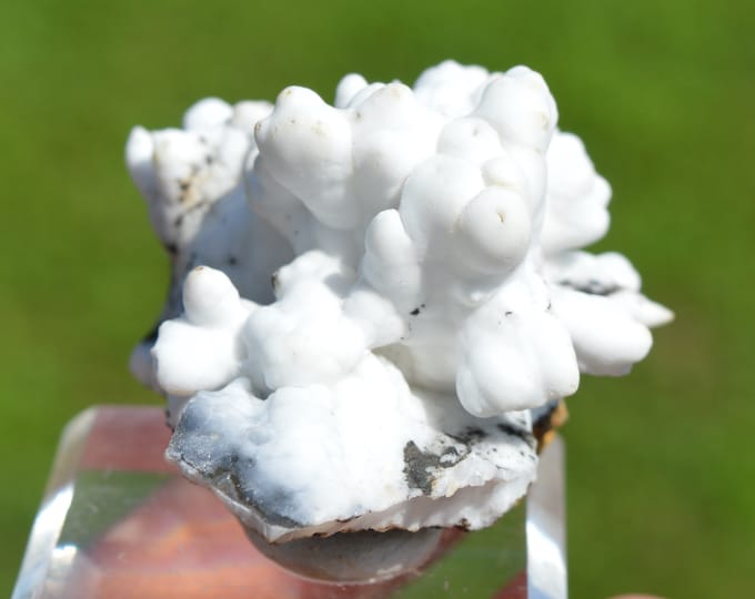 Aragonite "Flos Ferri" 53 grams - Green Fir Mine, Altenberg, Ste Marie-aux-Mines, Colmar-Ribeauvillé, Haut-Rhin, Alsace, France