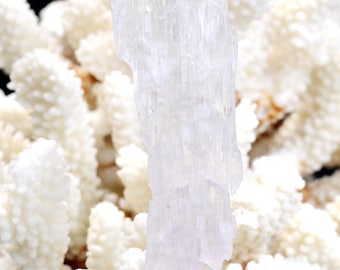 May include: A white selenite crystal pendant with a silver bail. The crystal is long and thin, with a striated surface. It is set against a white background.