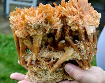 Gypsum 1235 grams - Pernatty Lagoon, Pernatty, Pastoral Unincorporated Area, South Australia, Australia