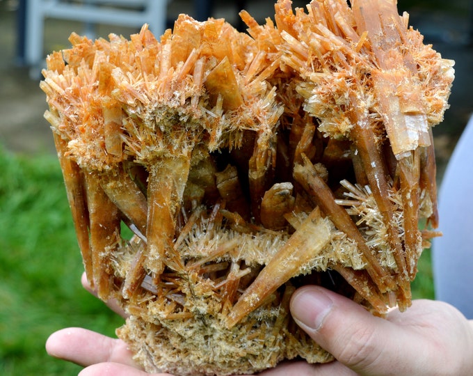 Gypsum 1235 grams - Pernatty Lagoon, Pernatty, Pastoral Unincorporated Area, South Australia, Australia