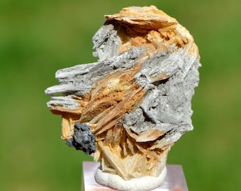 Baryte 16 grams - Saint-Laurent-le-Minier, Gard, Occitanie, France