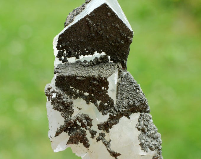 Fluorite & Pyrite 148 grams - Fontsante Mine, Tanneron, Var, France