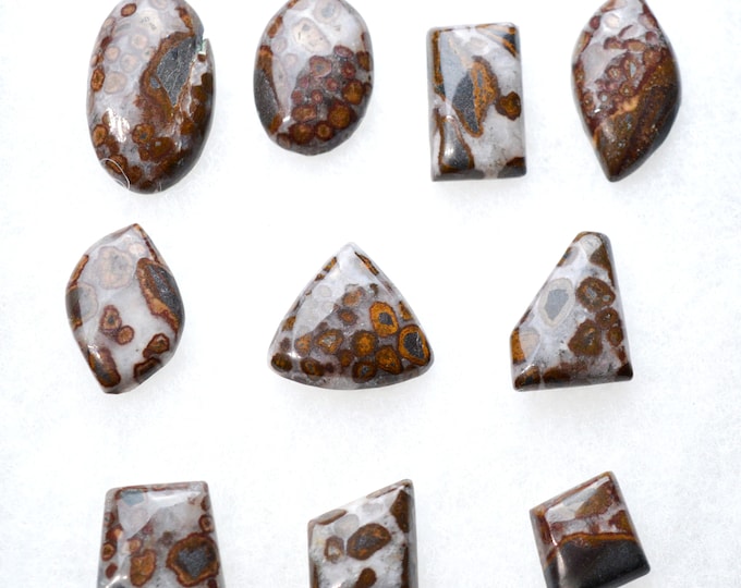 LOT x10 Jasper "Polka Dot" 217 carats - natural stone cabochon - Australia // BF47