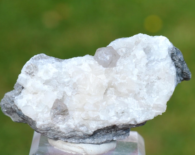 Smoky Quartz on Calcite 91 grams - Lompret quarry, Lompret, Chimay, Hainaut, Wallonia, Belgium