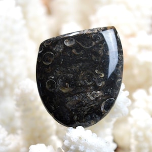 Agate turitelles 58 carats -  cabochon pierre naturelle - USA / EE99