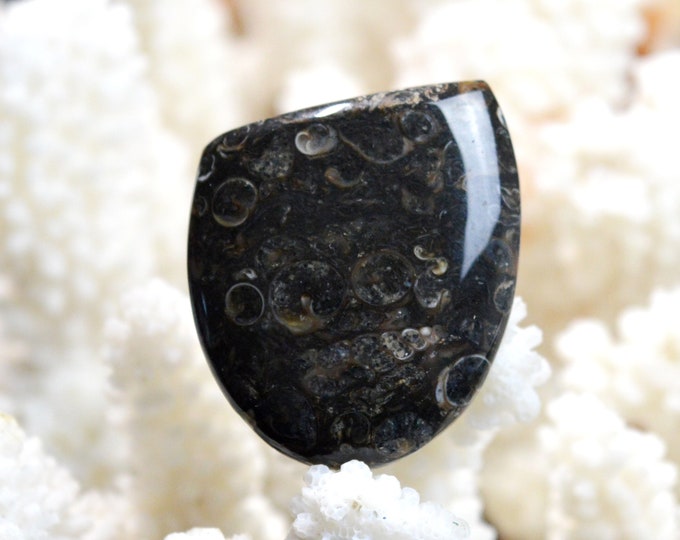 Turitella agate 58 carats - natural stone cabochon pendant - USA / EE99