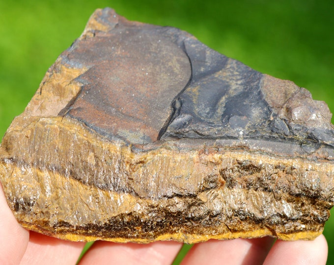 Tiger's Eye 179 grams - Prieska, Siyathemba, Pixley ka Seme, Northern Cape, South Africa