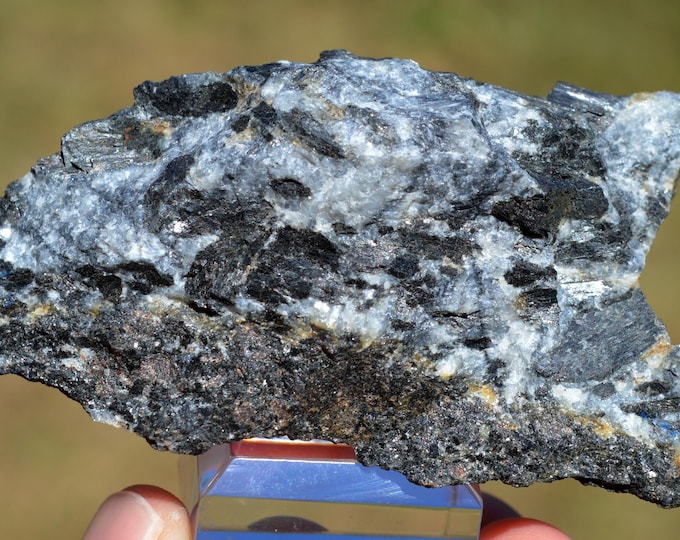 Hornblende Diorite 118 grams - Saint-Brieuc, Côtes-d'Armor, Brittany, France