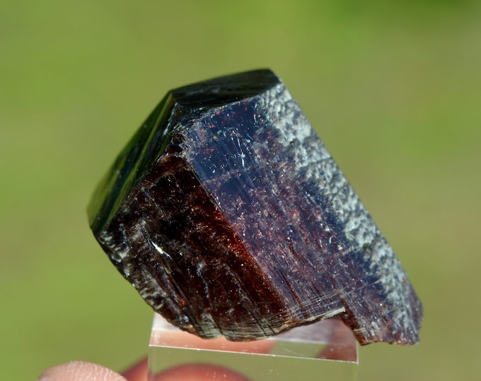 Tourmaline var. Uvite 27 grams - Pedra Preta pit, Serra das Éguas, Brumado, Bahia, Brazil