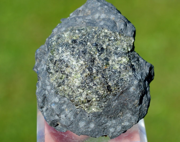 Basalt & Forsterite 87 grams - Montboissier quarry, Brousse, Ambert, Puy-de-Dôme, Auvergne-Rhône-Alpes, France