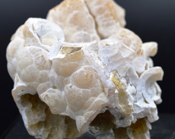 Chalcedony Fossil Coral - 687 grams - Madagascar