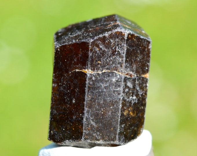 Tourmaline Var. Dravite - 23 grams - Pajaru, Jajarkot District, Karnali Pradesh, Nepal