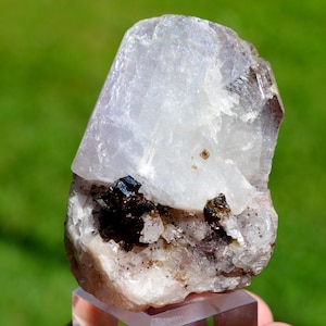 Puede incluir: Un espécimen mineral en bruto y natural que presenta una gran formación cristalina translúcida de color claro. Se observan inclusiones minerales oscuras, brillantes, negras y marrones en la base. El fondo es verde borroso.