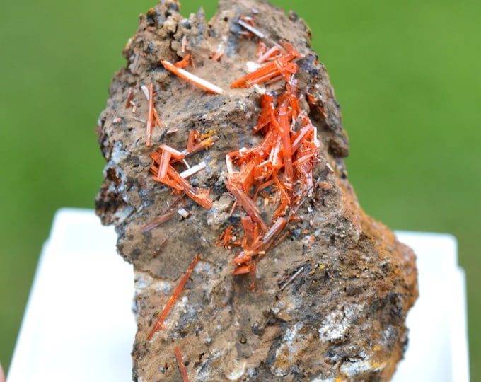 Crocoite 32 grams - Dundas mineral field, Zeehan District, West Coast municipality, Tasmania, Australia