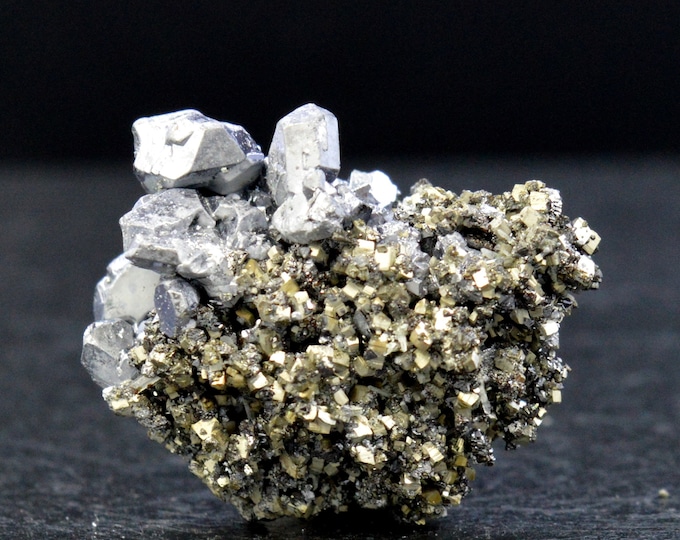 Galena & Pyrite 16 grams - Madan ore field, Smolyan Province, Bulgaria