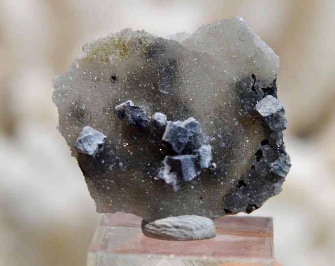 Galena & Chalcedony 3 grams - Le Buisson Mine, Montmirat, Saint-Étienne-du-Valdonnez, Mende, Lozère, Occitanie, France