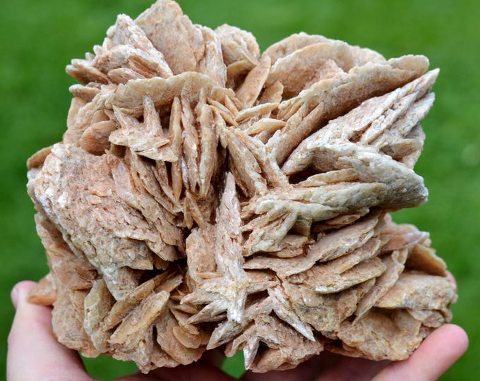 Gypsum var. Rose des sable 2070 grams - Gargas, Apt, Vaucluse, Provence-Alpes-Côte d'Azur, France