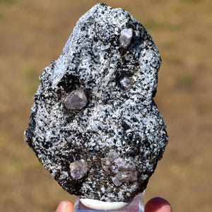 Peut inclure: Un spécimen de roche irrégulier et brut présentant une matrice tachetée de noir et de blanc semblable à du granit. Plusieurs cristaux lisses et distincts de couleur violet clair sont incrustés à la surface de la face minérale texturée.