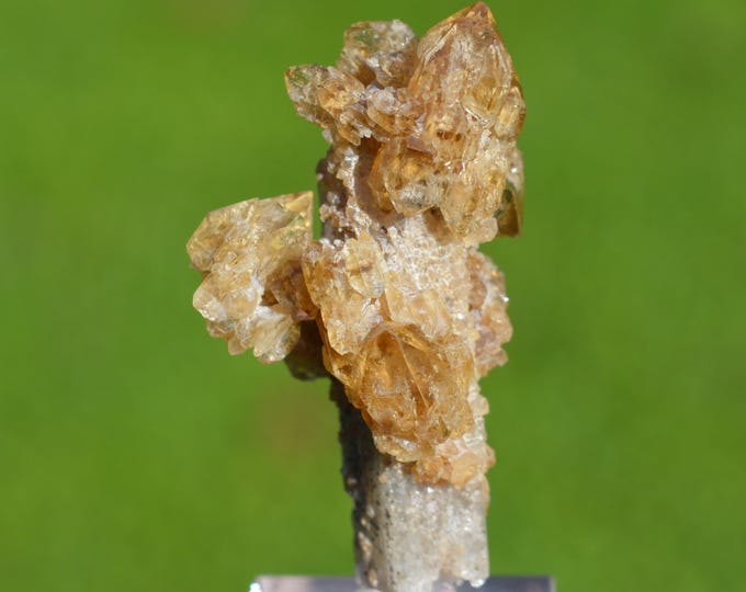 Citrine & danburite - Charcas, Charcas Municipality, San Luis Potosí, Mexico