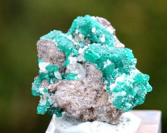 Dioptase 8 grams - Kindanba District, Pool Department, Republic of the Congo