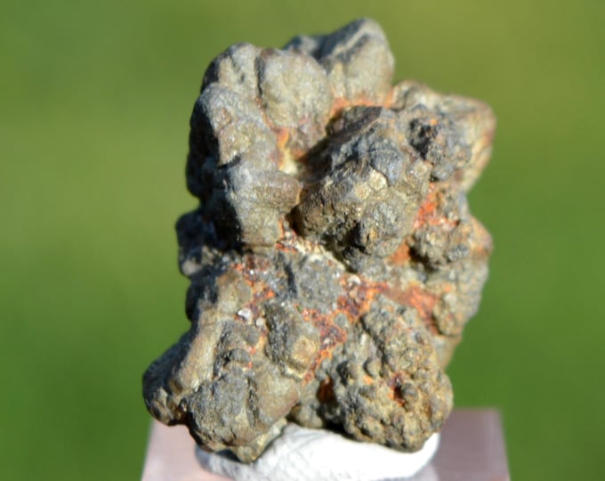 Marcasite and/or Pyrite 12 grams - Cap Blanc-Nez, Escalles, Calais, Pas-de-Calais, Hauts-de-France, France