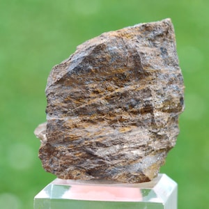 May include: A rough, layered rock sample with shades of brown, gray, and hints of gold. The mineral specimen is displayed on a clear, angled stand against a blurred green background, showcasing its natural texture and color variations.