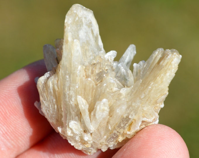 Gypsum 15 grams - Angervilliers quarry, Forges-les-Bains, Palaiseau, Essonne, Ile-de-France, France
